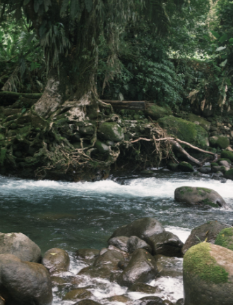 Guápiles